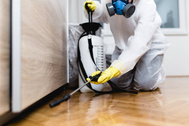 Best Affordable Pest Control Services  in Brown Deer, WI