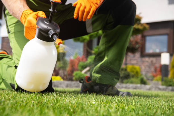Flea Control Services in Brown Deer, WI
