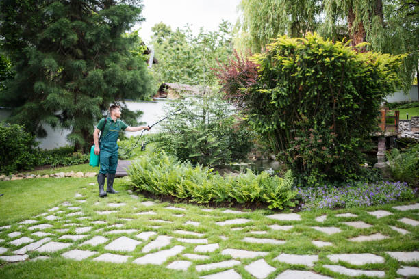 Best Local Pest Control Services  in Brown Deer, WI