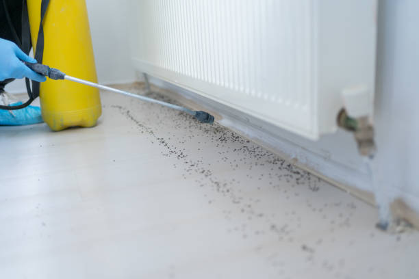 Best Rat Extermination Near Me  in Brown Deer, WI
